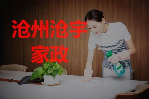 沧州搬家后房屋保洁指南 专业家政服务助您轻松安家