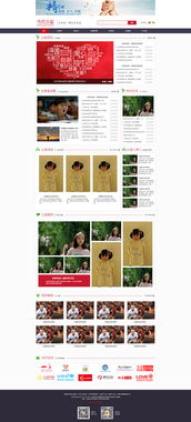 网页设计作品案例赏析 从创意到实现的视觉之旅